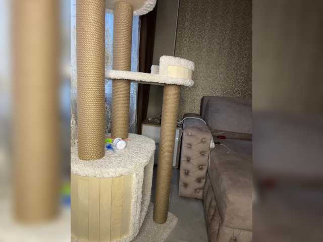 Gratis Live Sexcam mit Adel9 Adel9