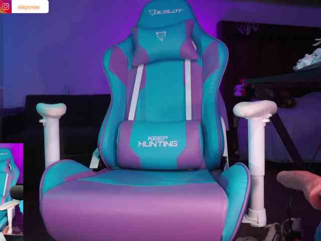 Nixycrow11 webcam
