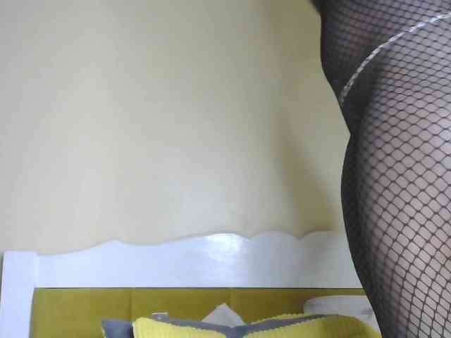 BradBubble webcam