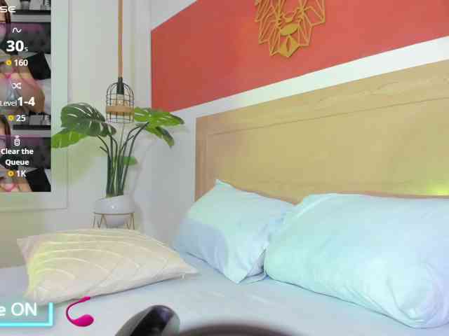 enma-30 webcam