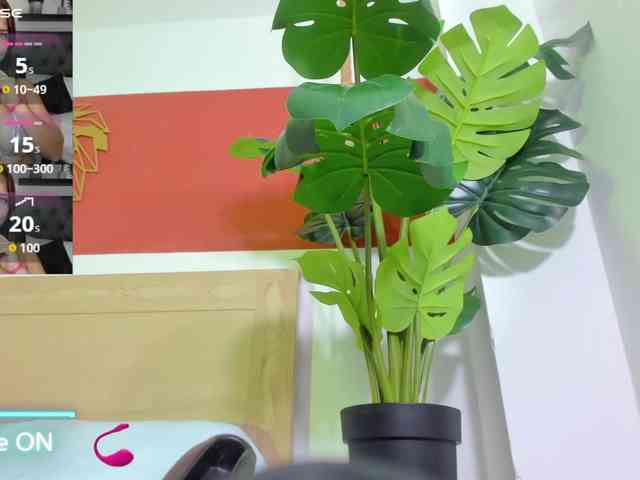 enma-30 webcam