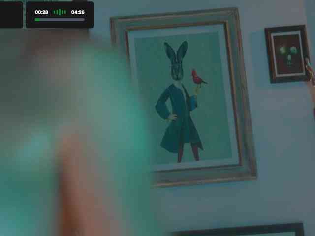-KT23 webcam