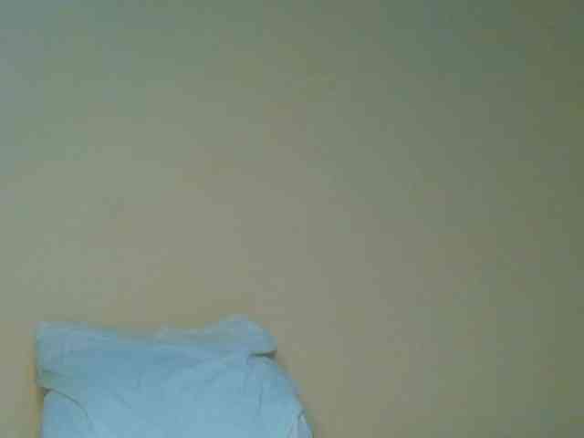 Sam9338 webcam