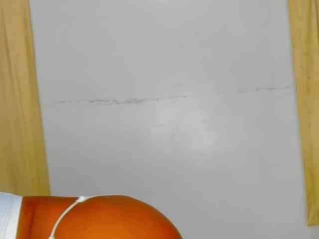 Sam9338 webcam
