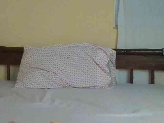 Sam9338 webcam