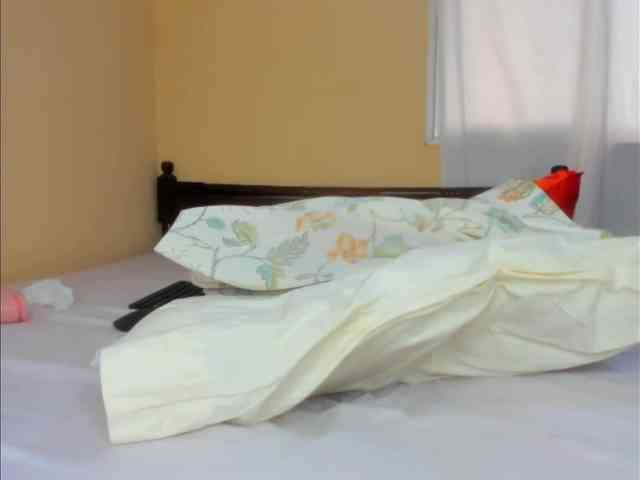 Sam9338 webcam
