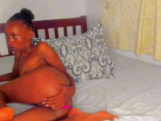 Sam9338 webcam