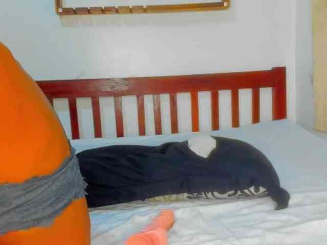 Sam9338 webcam