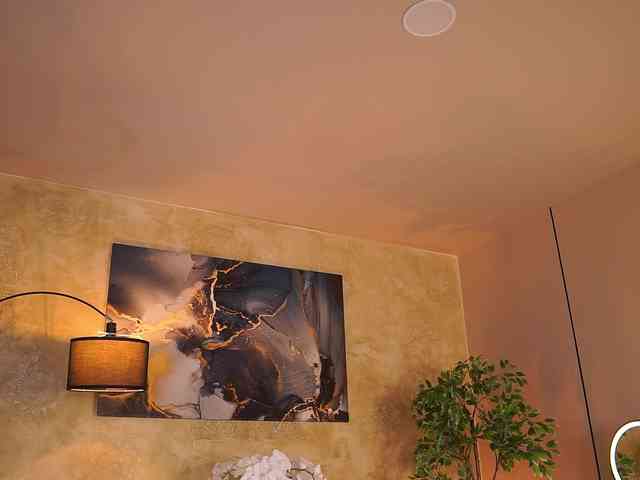 DolceTentacion webcam