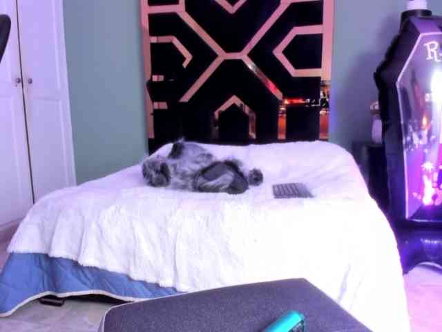 Sabrina-spencerr webcam