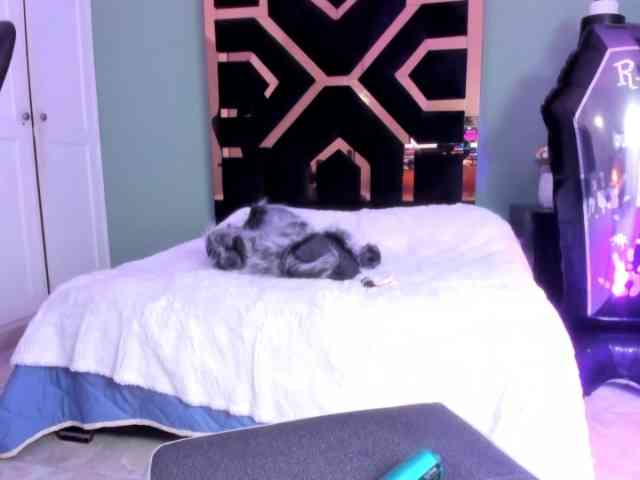 Sabrina-spencerr webcam