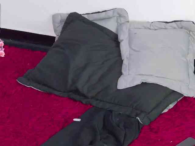 Arii-moon webcam