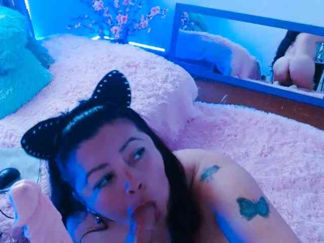 Carlared webcam