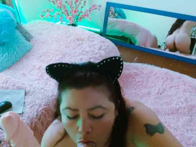 Carlared webcam