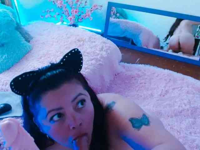 Carlared webcam