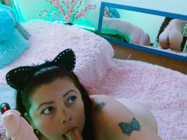 Carlared webcam