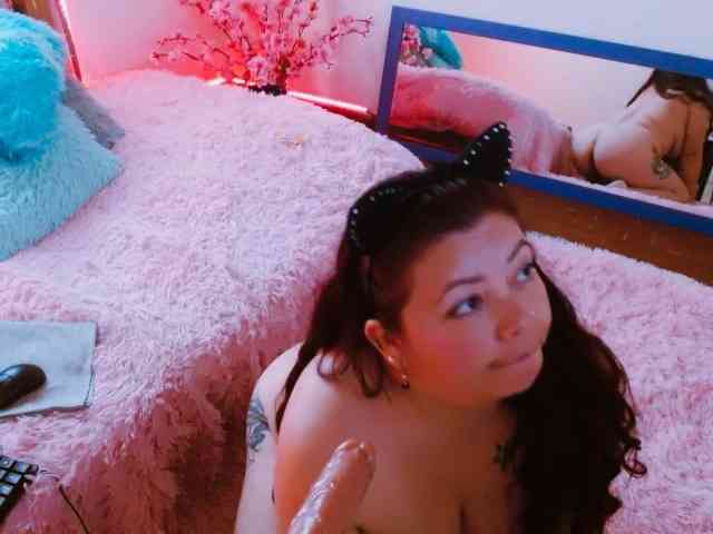 Carlared webcam