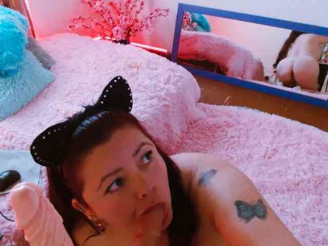 Carlared webcam