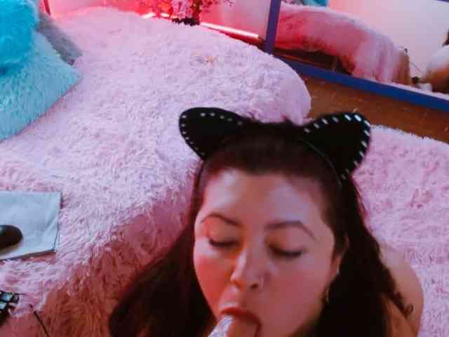 Carlared webcam