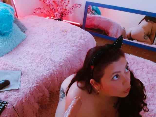 Carlared webcam