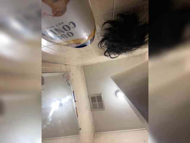 Bashbaby webcam