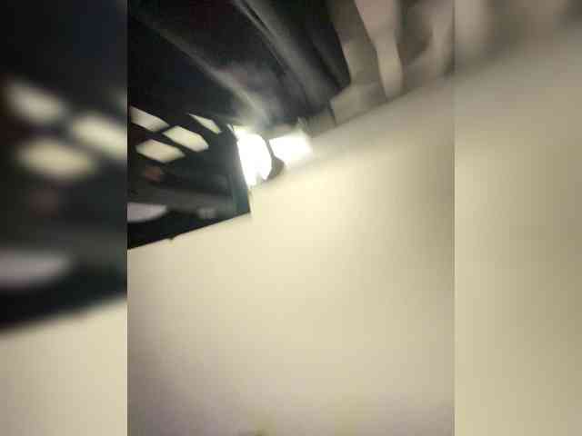 Bashbaby webcam