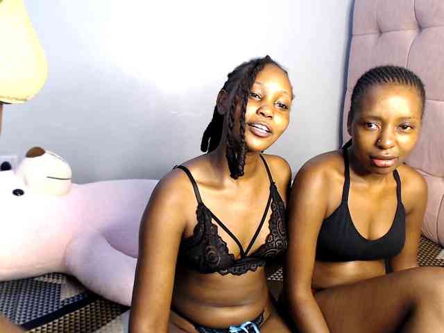 Veecatch webcam