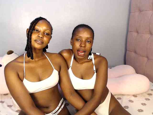 Veecatch webcam