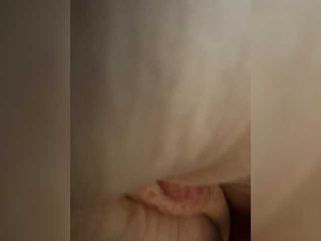 Vai a chattare su Alinagilberd03 Alinagilberd03