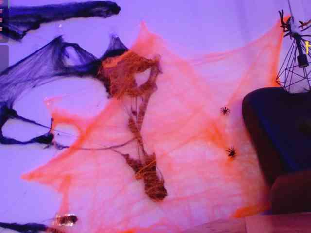 SofiiaMartinez webcam