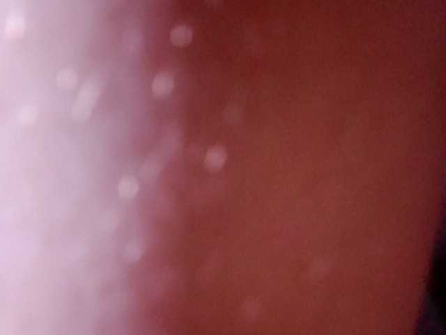 VinepyhPyhtochek webcam