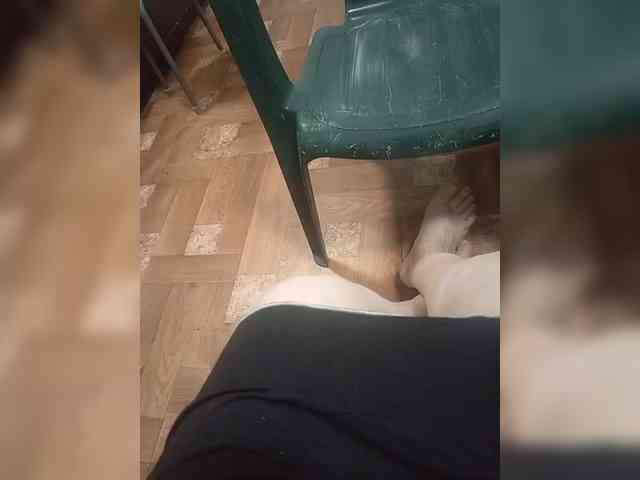 Schastlivchik10 webcam