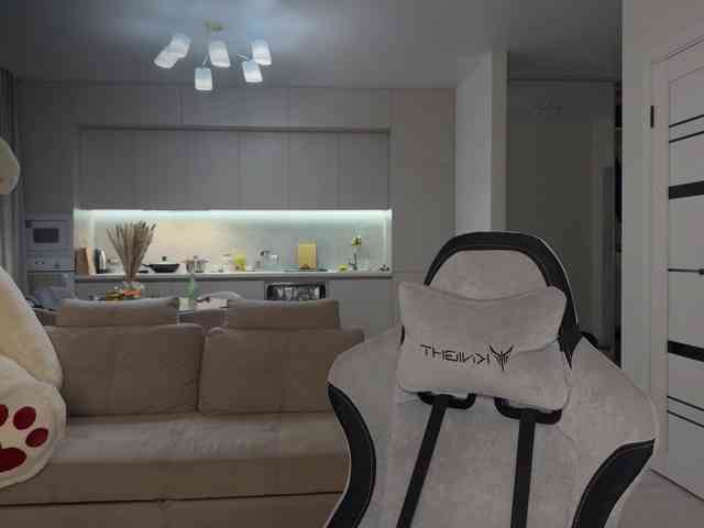 Sofi-Mi webcam