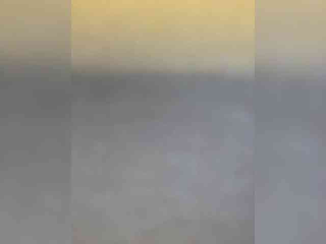 Milkkksheik-981 webcam