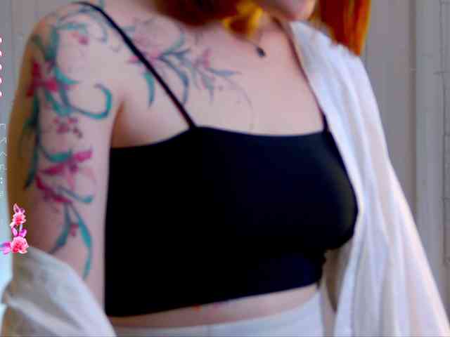 Ashley-Nicks webcam