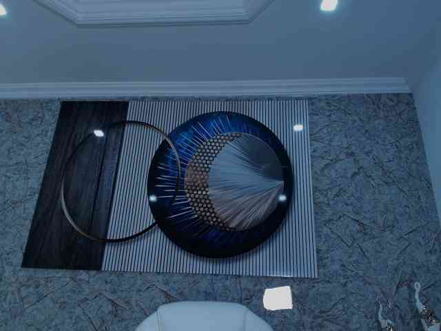 Octaviarouse webcam