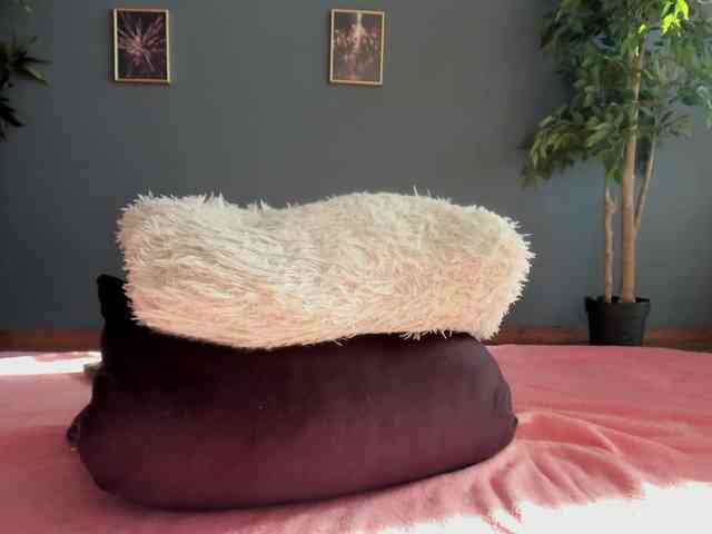 perfect-moans webcam