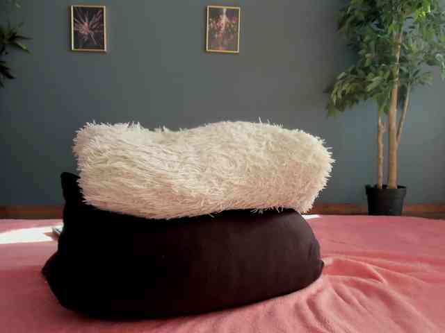 perfect-moans webcam