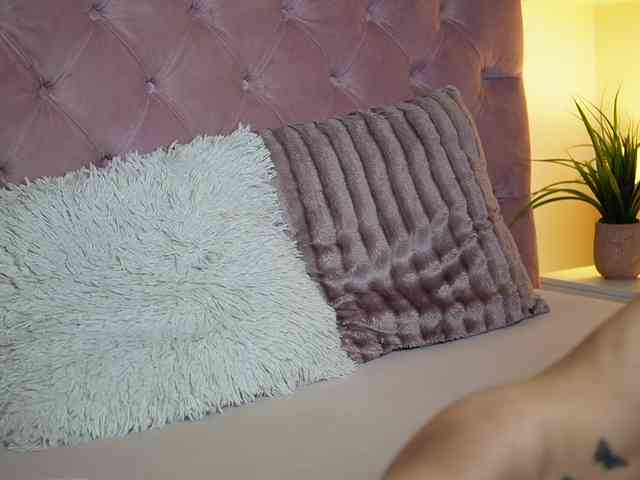 MaiaMini webcam