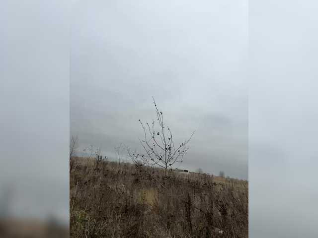 go to chat with Tereza-