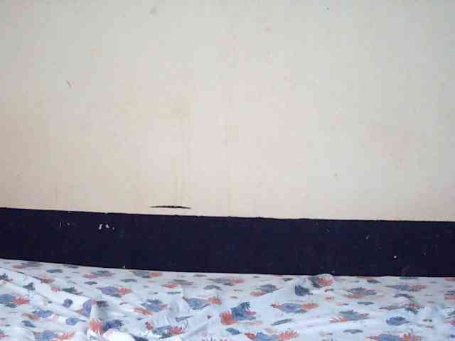 DivineAssGoddess webcam