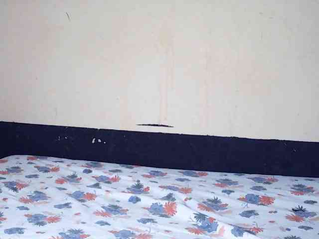 DivineAssGoddess webcam