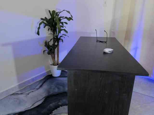 liacanaviva webcam
