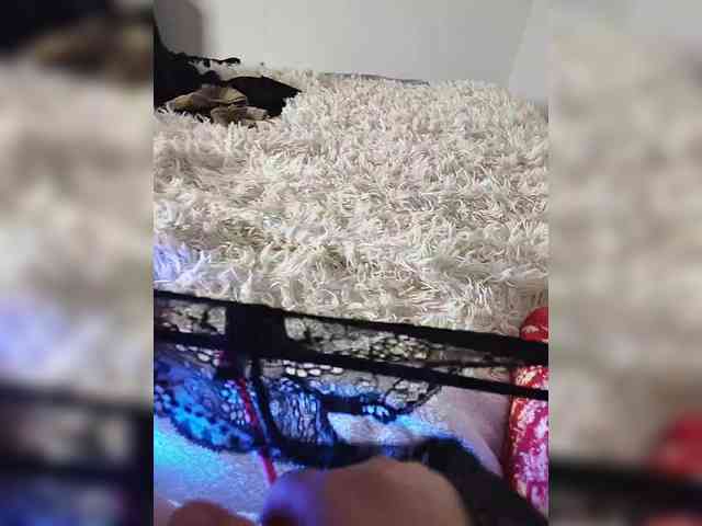 Piff_Pawlady webcam