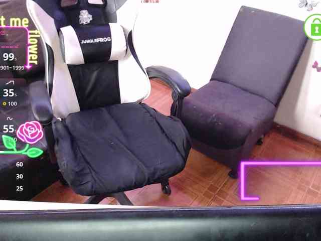 SophiaaVega webcam