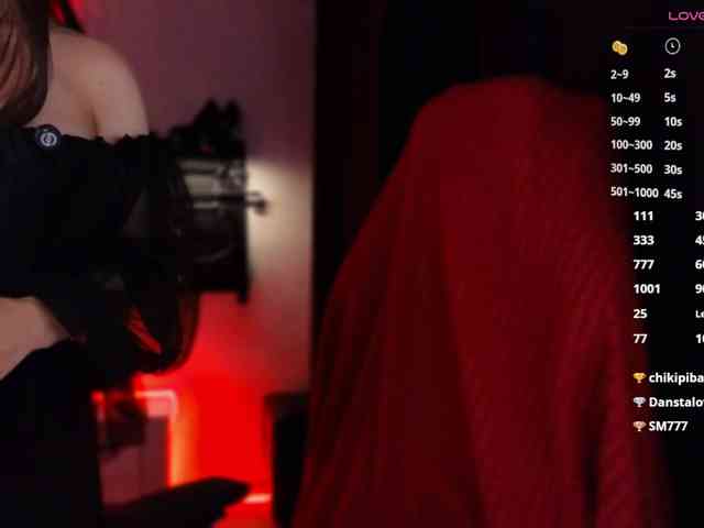 Hozyaika webcam