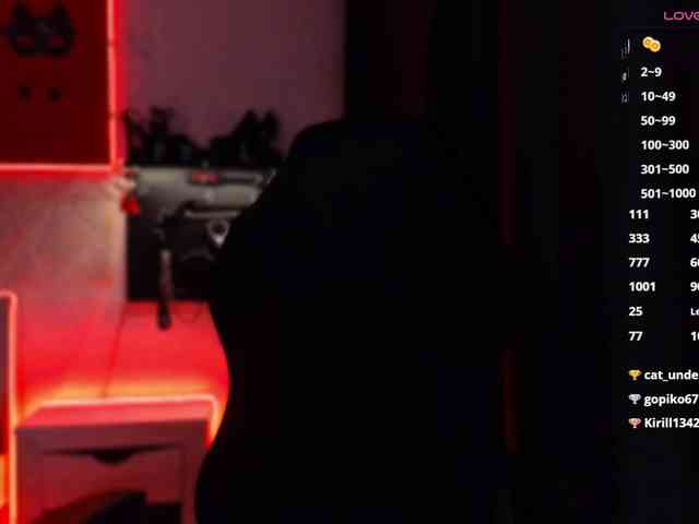 Hozyaika webcam
