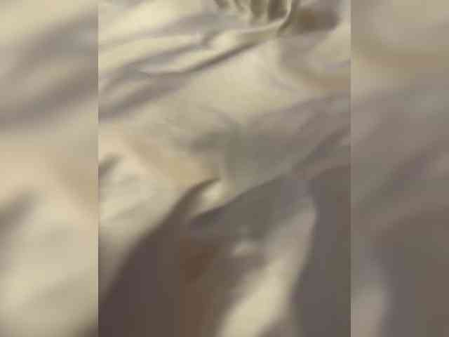millemimi webcam