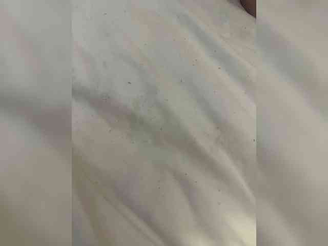 millemimi webcam