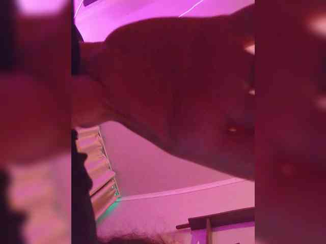 Dragon_fruit webcam